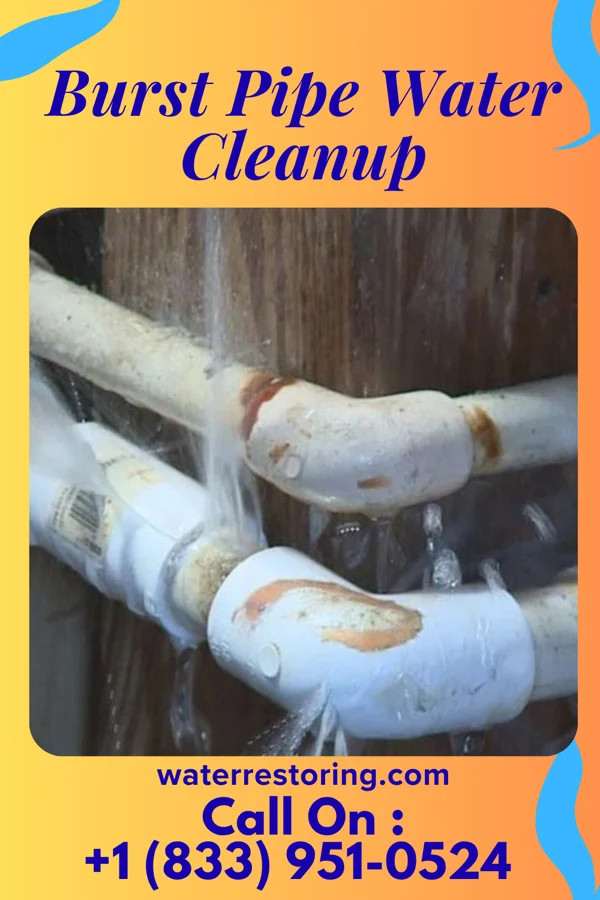 Burst Pipe Water Cleanup in Smithfield, WV