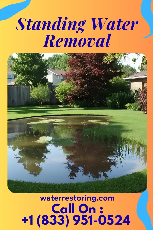 Standing Water Removal in Smithfield, WV